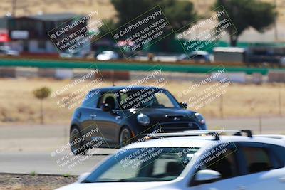 media/Mar-08-2025-Extreme Speed (Sat) [[4abb97269e]]/Blue/Turns 2  and  4 (Session 2)/
